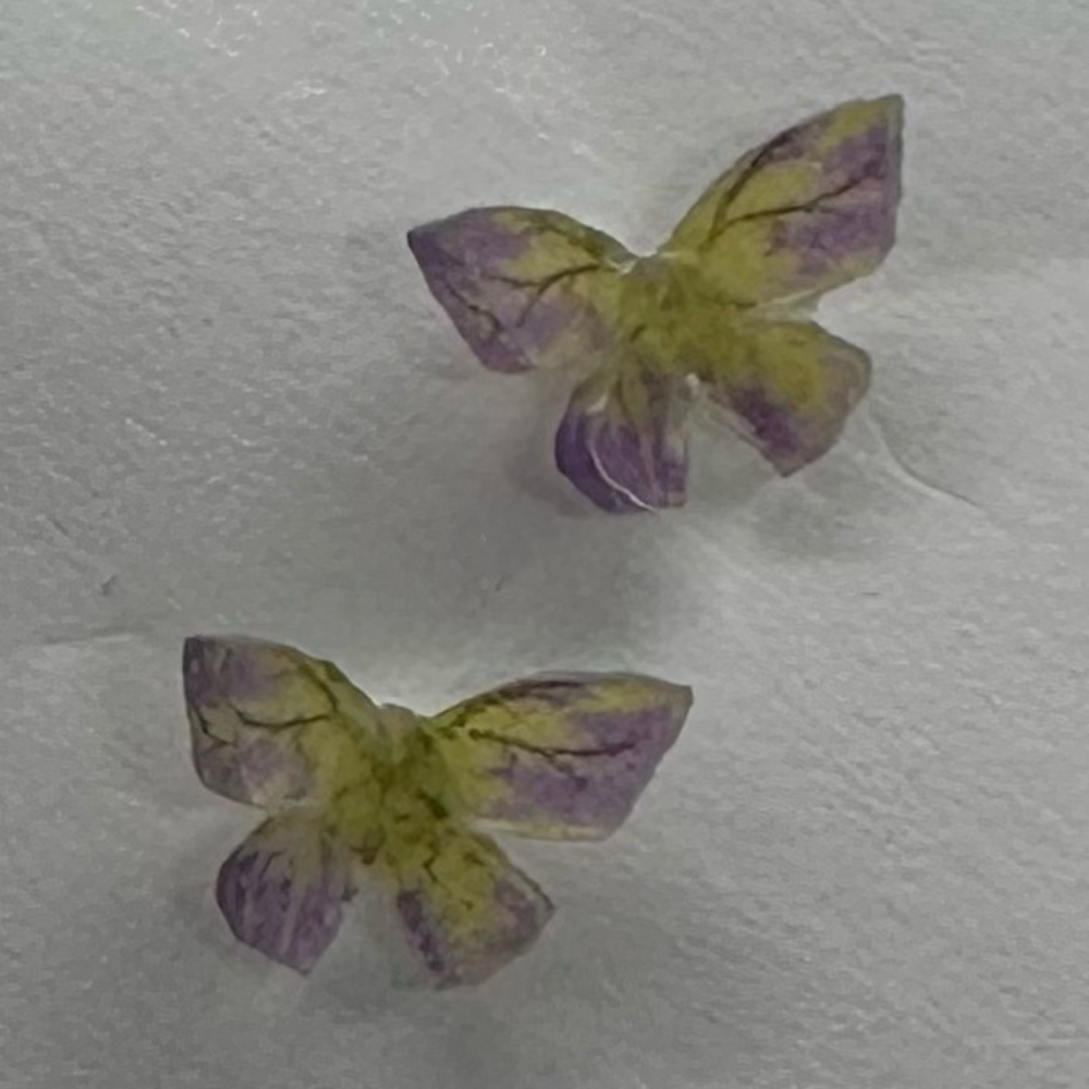 🦋✨Mini fairy Pastel Watercolor Resin Butterfly Stud Earrings 925 Silver Post✨🦋 - Picture 5 of 16